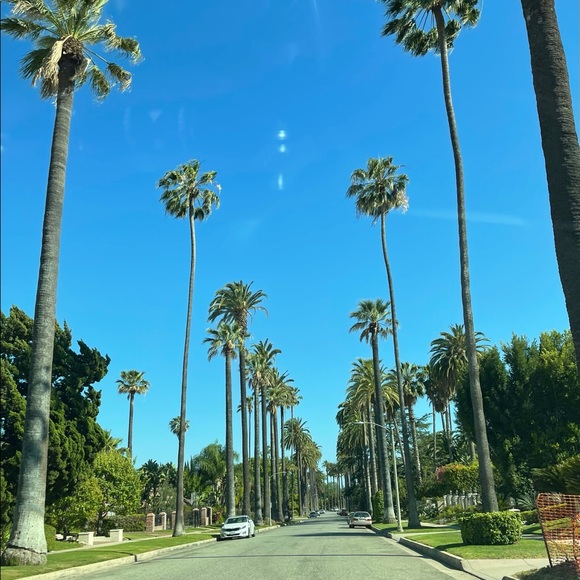 Meet your Posher, Mae - Picture 1 of 1